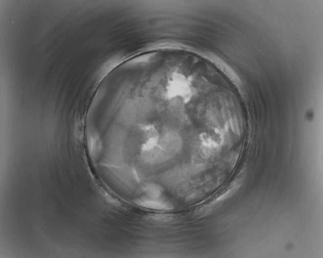 X0000116800953201001081332