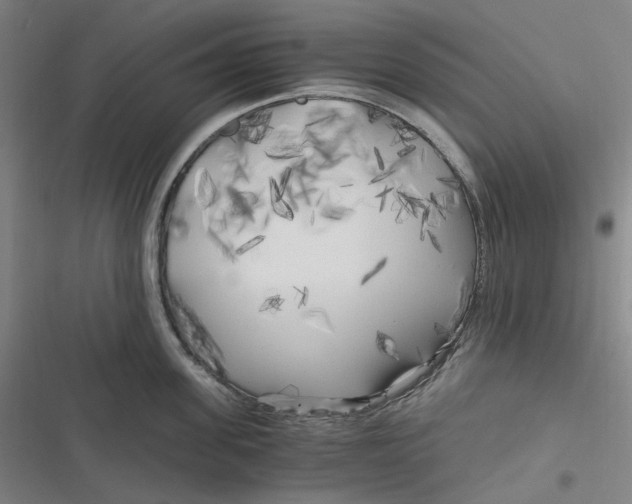 X0000116800955201001081332