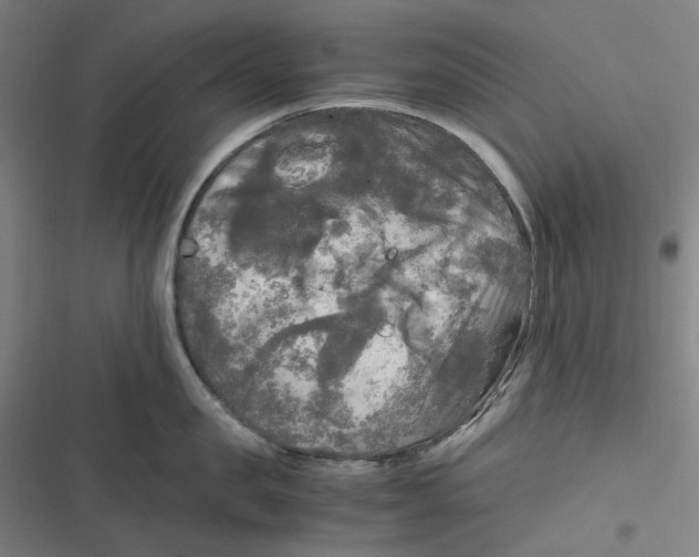 X0000116800957201001081332