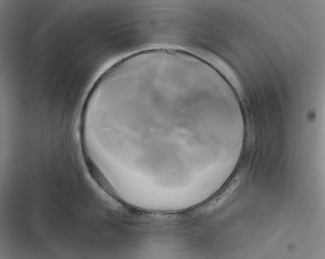 X0000116800958201001081332