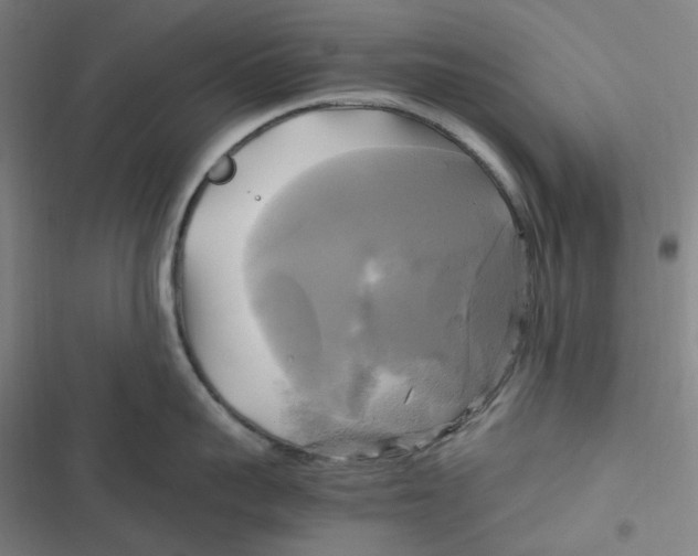 X0000116800959201001081332