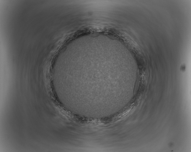 X0000116800961201001081331