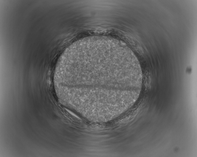 X0000116800962201001081331