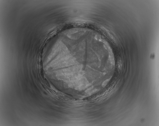 X0000116800964201001081331