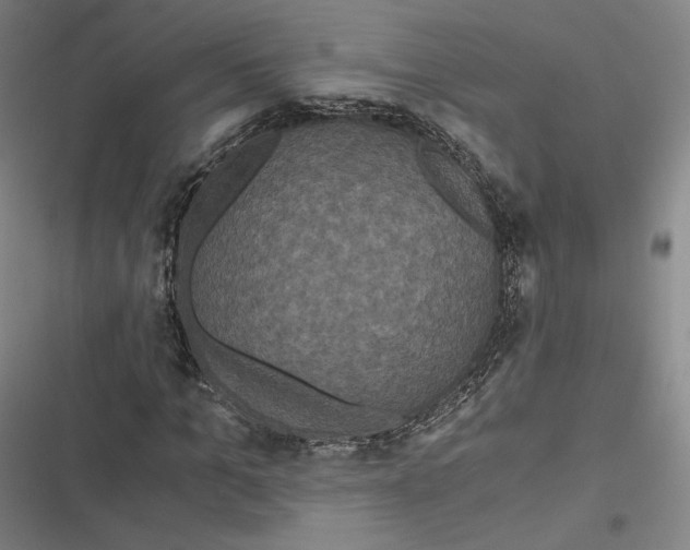 X0000116800965201001081331