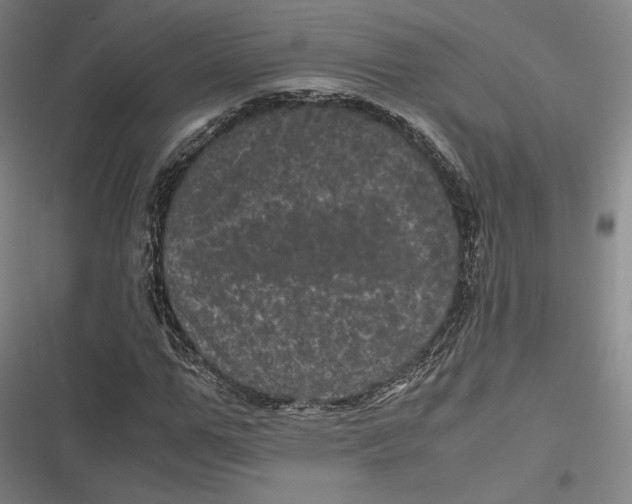 X0000116800967201001081331