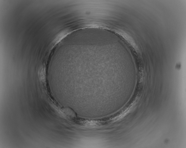 X0000116800969201001081331