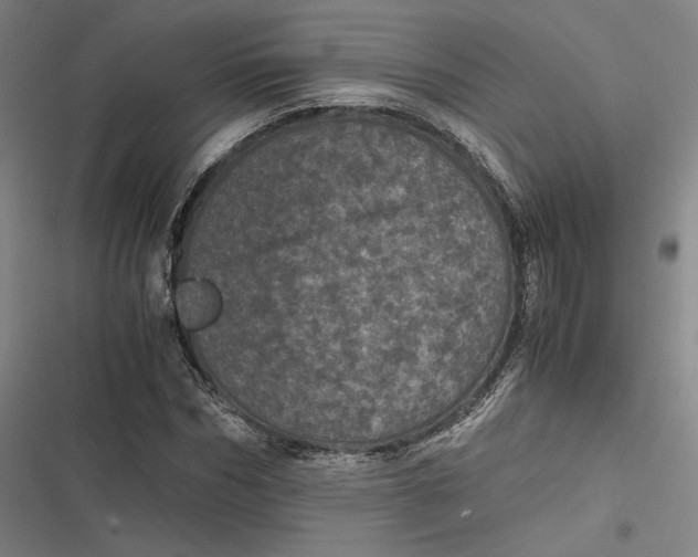 X0000116800970201001081331