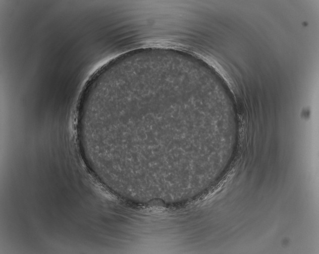 X0000116800971201001081331