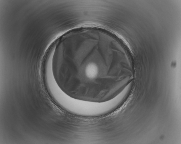 X0000116800973201001081331