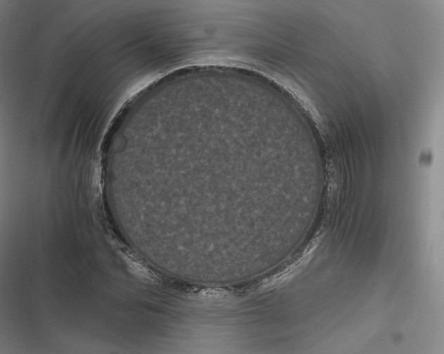 X0000116800974201001081331