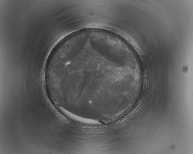 X0000116800976201001081331