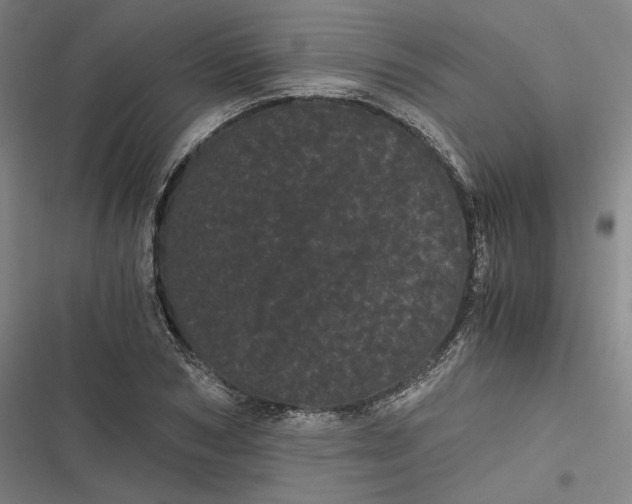 X0000116800978201001081331