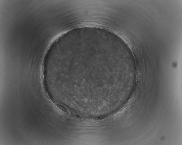 X0000116800979201001081331