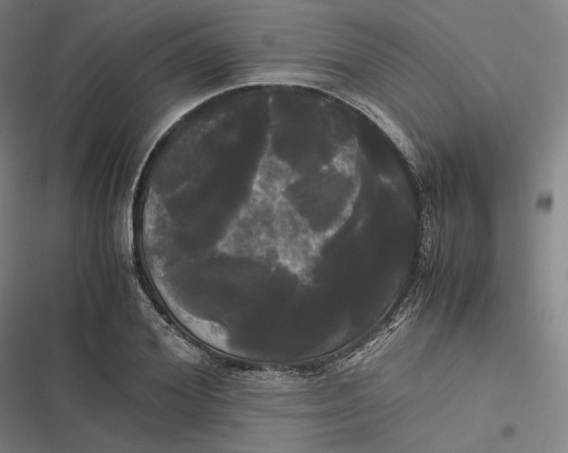 X0000116800980201001081331