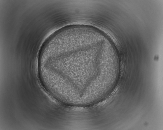 X0000116800982201001081331