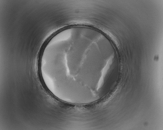 X0000116800983201001081331