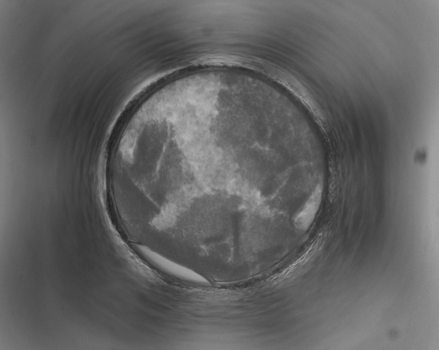 X0000116800984201001081331