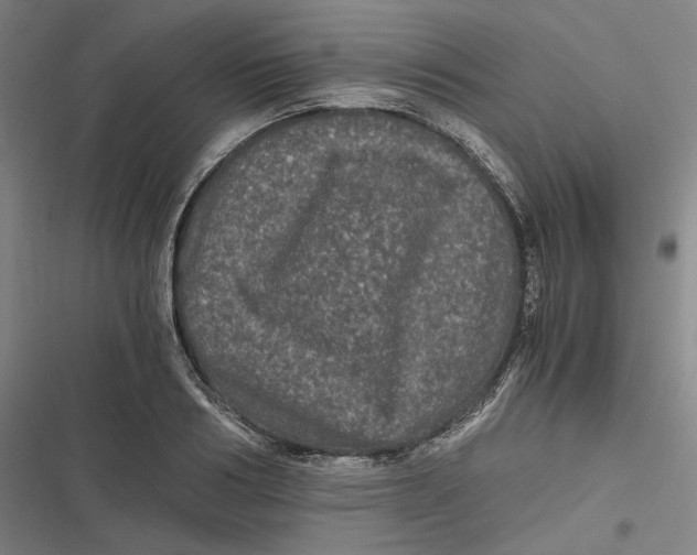 X0000116800986201001081331