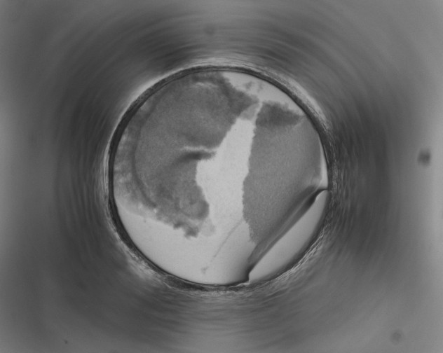 X0000116800988201001081331