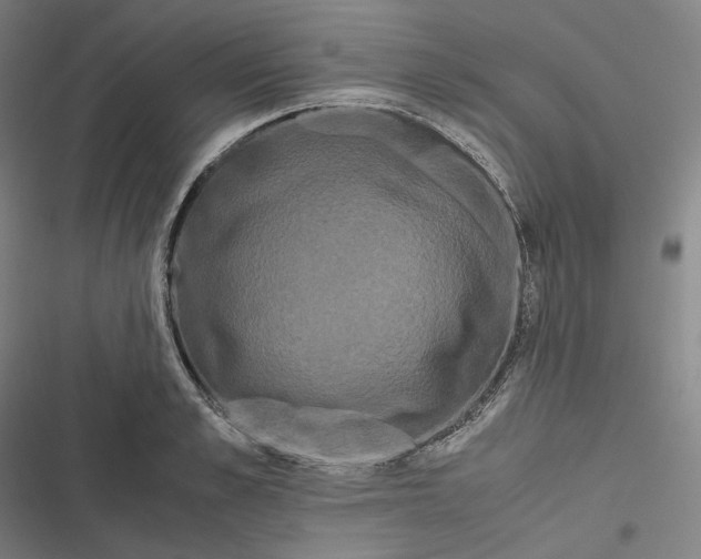 X0000116800989201001081331