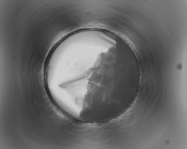 X0000116800990201001081331