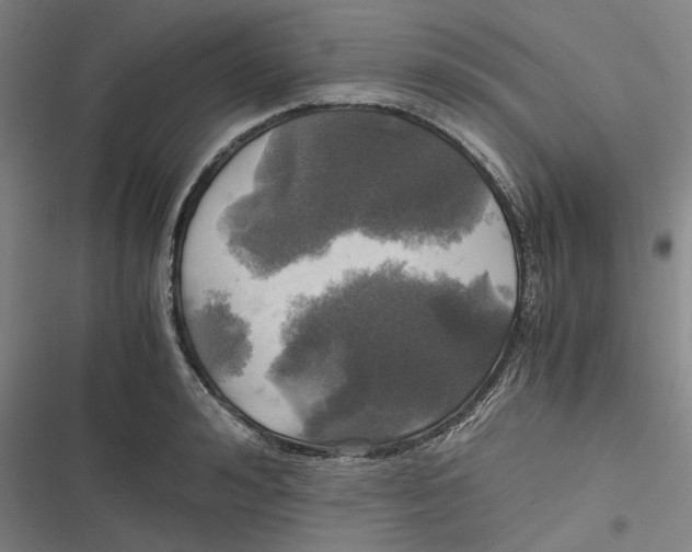 X0000116800992201001081331