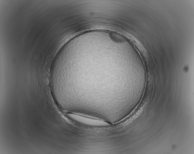 X0000116800993201001081331