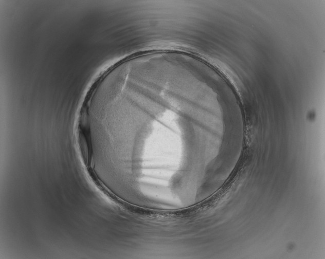 X0000116800995201001081330