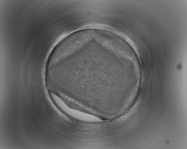 X0000116800997201001081330