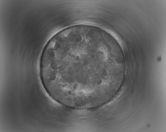 X0000116800999201001081330