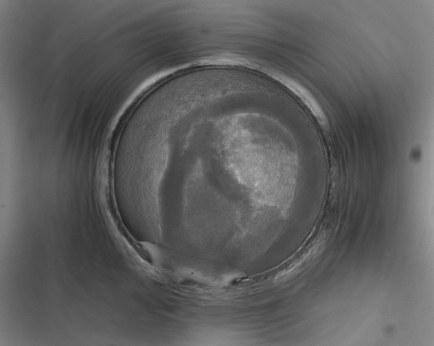 X0000116801000201001081330