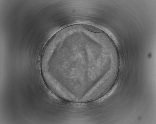 X0000116801001201001081330