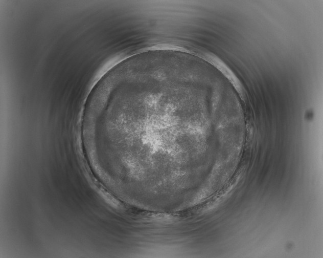 X0000116801002201001081330