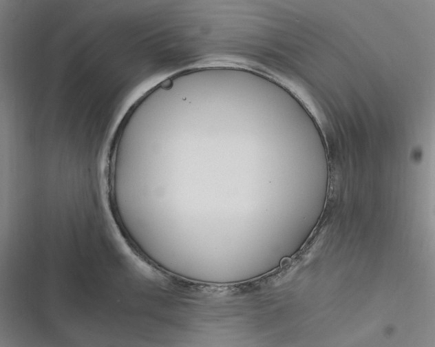 X0000116801003201001081330