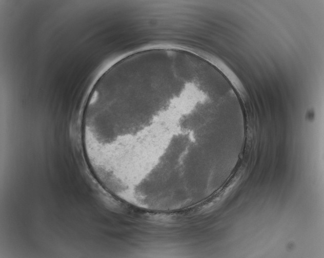 X0000116801004201001081330