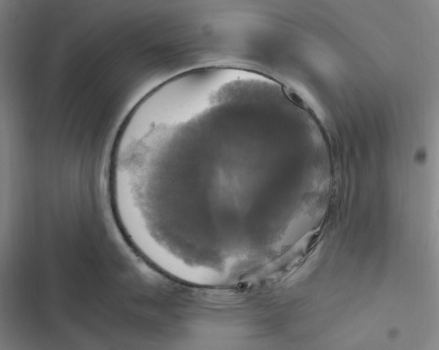 X0000116801007201001081330