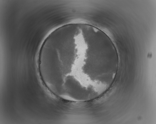 X0000116801008201001081330