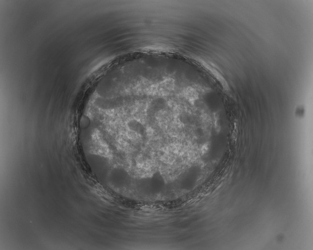 X0000116801015201001081330