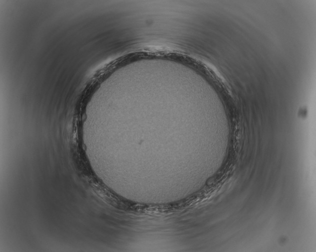 X0000116801016201001081330