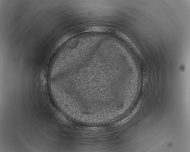 X0000116801017201001081330