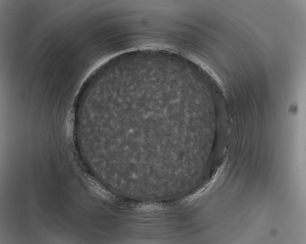 X0000116801021201001081330