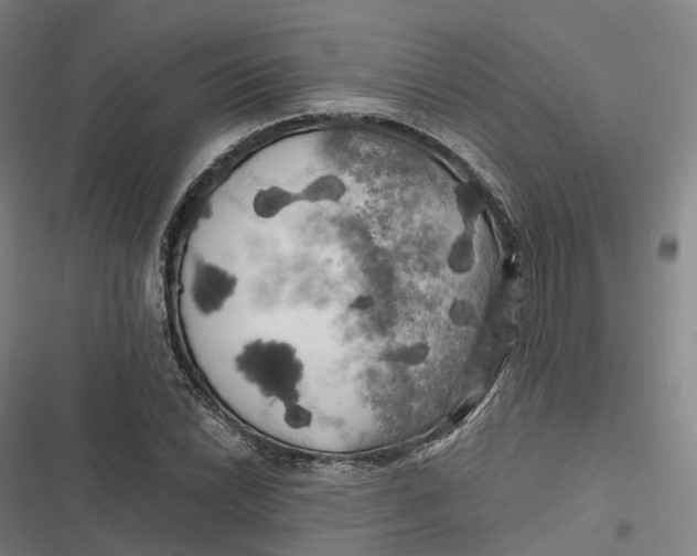 X0000116801022201001081330