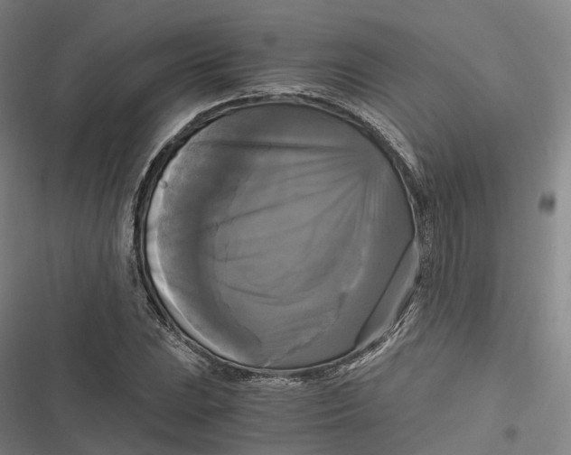 X0000116801023201001081330