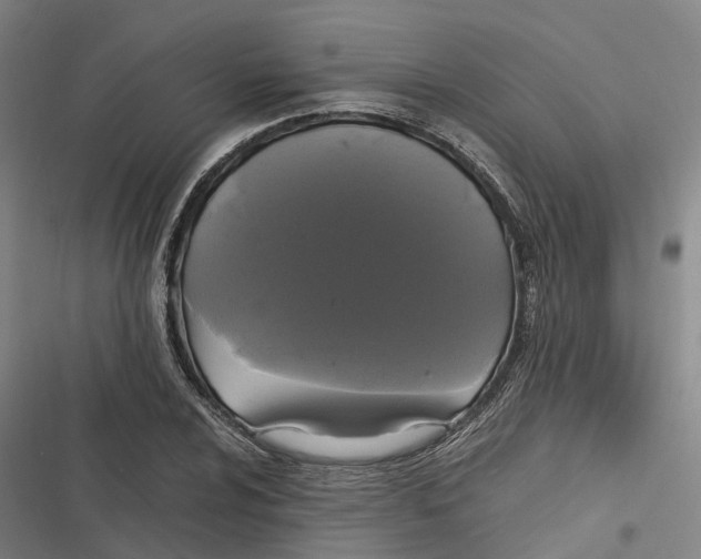 X0000116801024201001081330