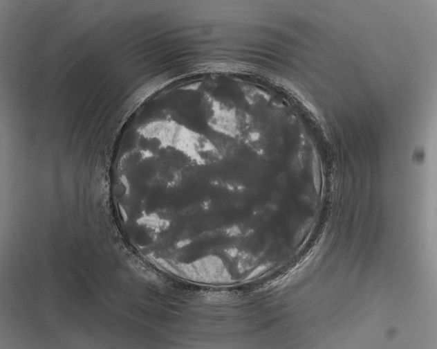 X0000116801025201001081330