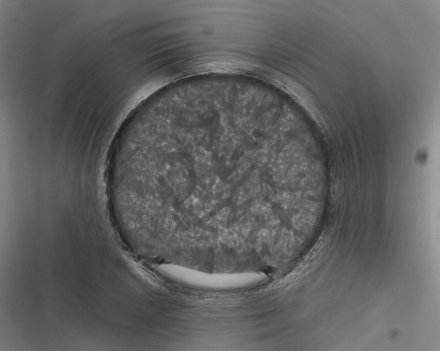 X0000116801026201001081330