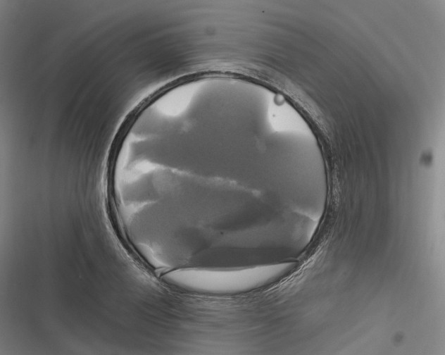 X0000116801028201001081330