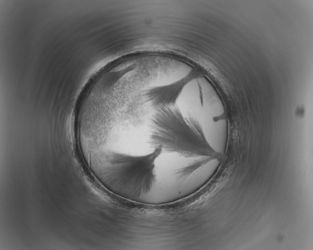 X0000116801030201001081330