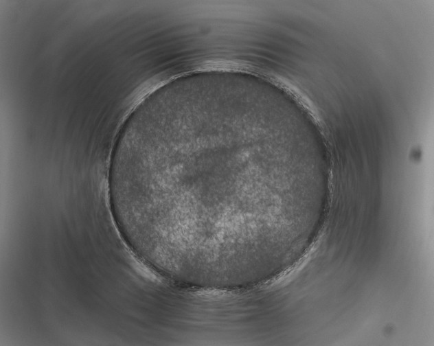 X0000116801033201001081330